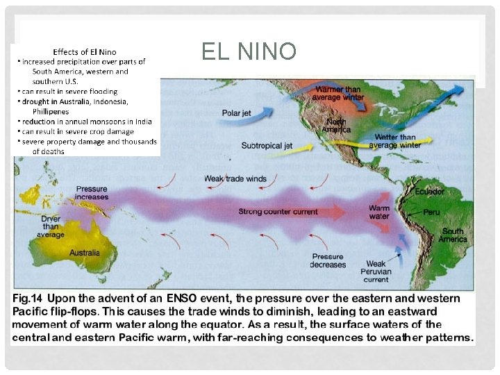 EL NINO 