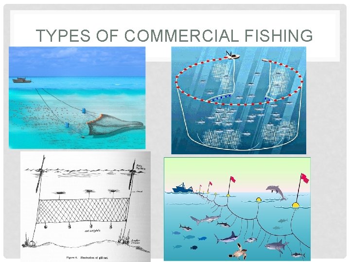 TYPES OF COMMERCIAL FISHING 