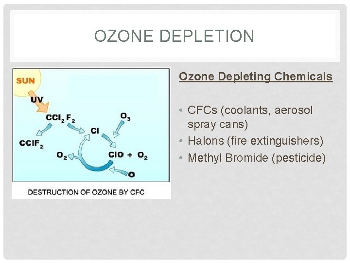 OZONE DEPLETION Ozone Depleting Chemicals • CFCs (coolants, aerosol spray cans) • Halons (fire