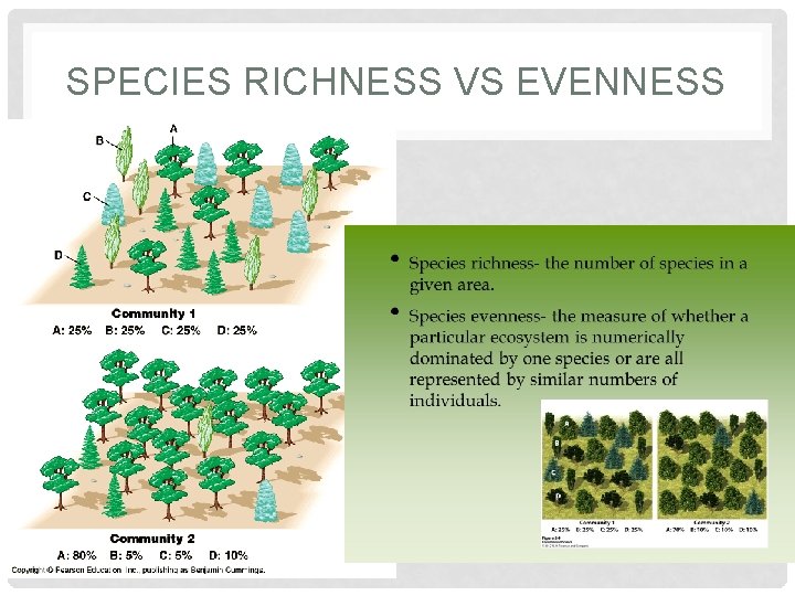 SPECIES RICHNESS VS EVENNESS 