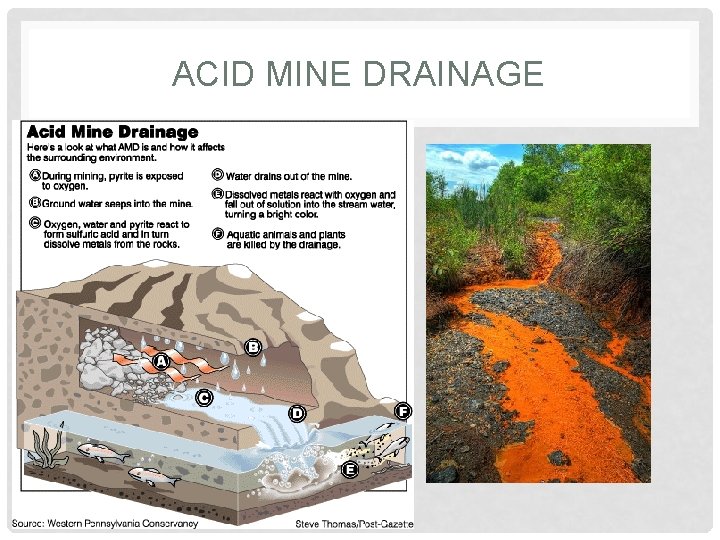 ACID MINE DRAINAGE 