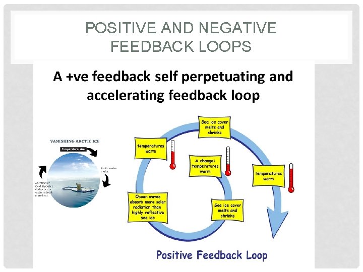 POSITIVE AND NEGATIVE FEEDBACK LOOPS 