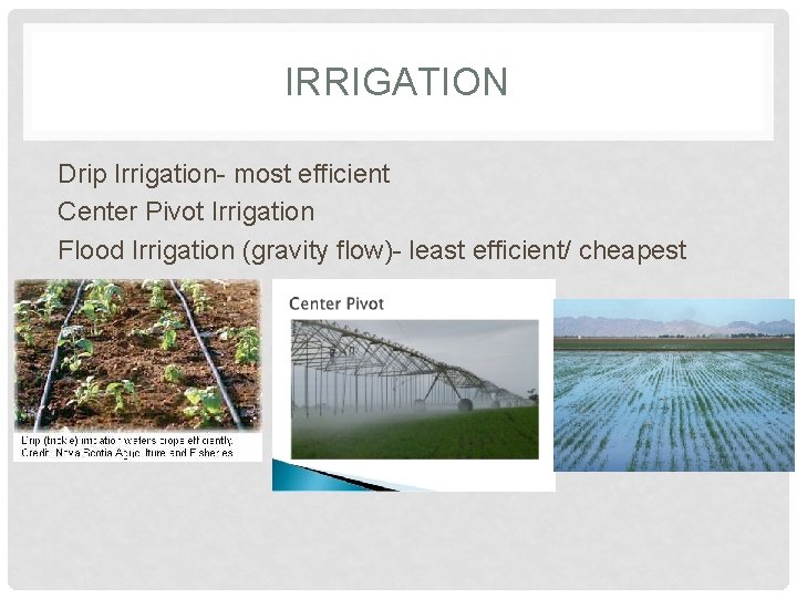 IRRIGATION Drip Irrigation- most efficient Center Pivot Irrigation Flood Irrigation (gravity flow)- least efficient/