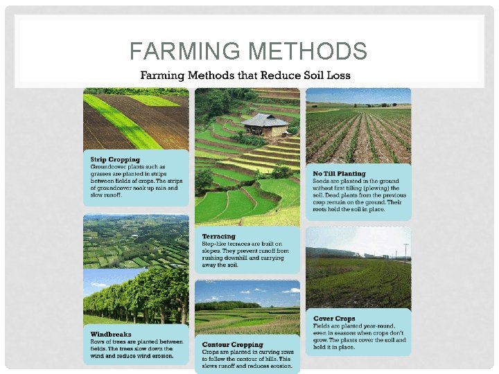 FARMING METHODS 