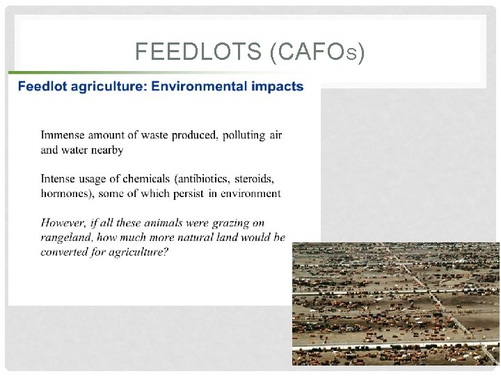 FEEDLOTS (CAFOS) 