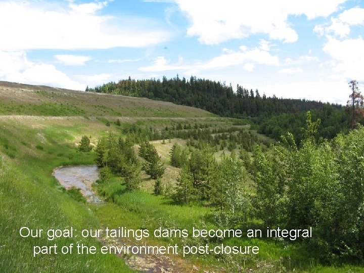 Our goal: our tailings dams become an integral part of the environment post-closure 