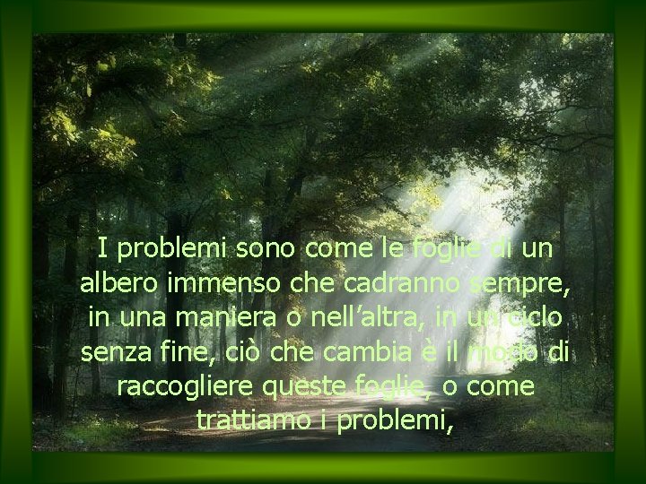 I problemi sono come le foglie di un albero immenso che cadranno sempre, in