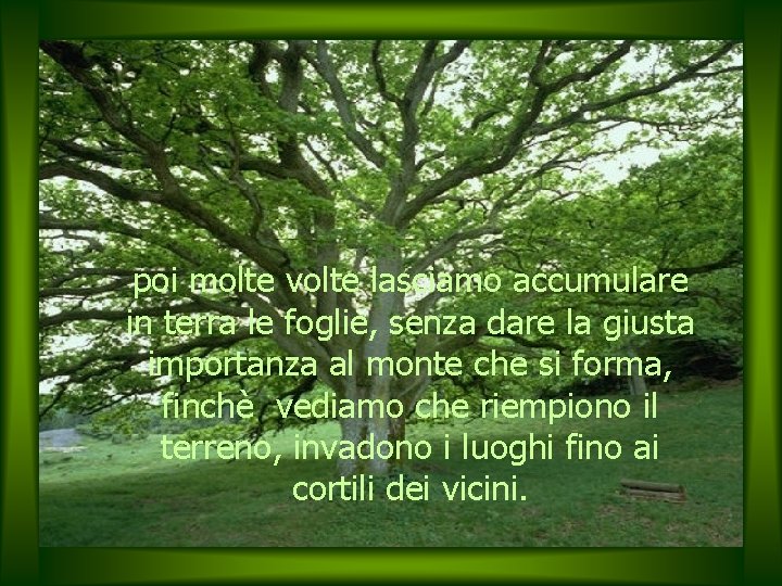 poi molte volte lasciamo accumulare in terra le foglie, senza dare la giusta importanza