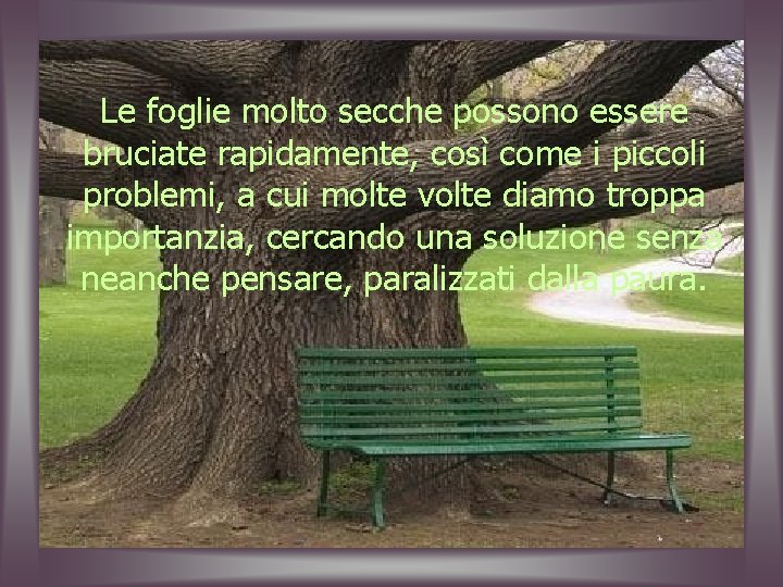 Le foglie molto secche possono essere bruciate rapidamente, così come i piccoli problemi, a
