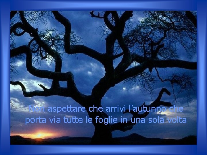 Non aspettare che arrivi l’autunno che porta via tutte le foglie in una sola