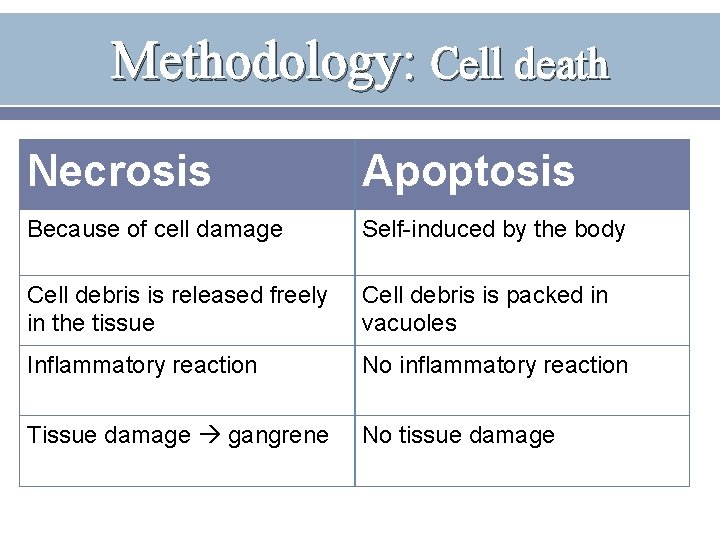 Methodology: Cell death Necrosis Apoptosis Because of cell damage Self-induced by the body Cell