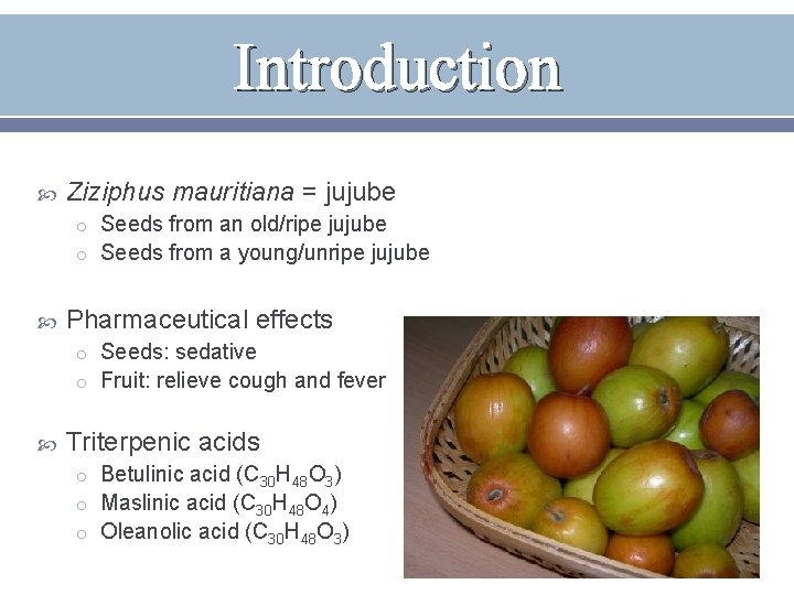 Introduction Ziziphus mauritiana = jujube o Seeds from an old/ripe jujube o Seeds from