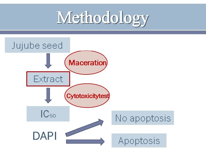 Methodology 