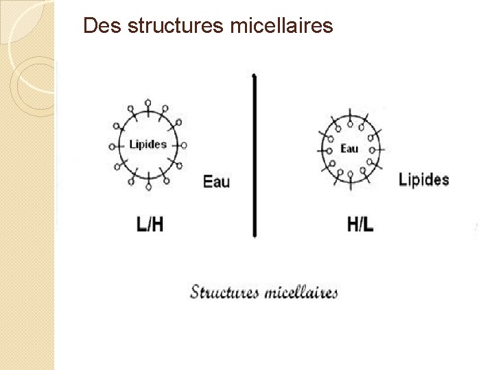 Des structures micellaires 