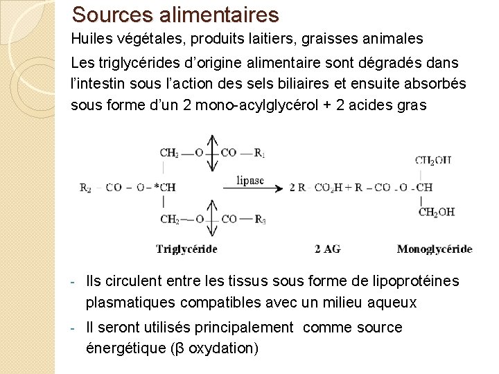 Sources alimentaires Huiles végétales, produits laitiers, graisses animales Les triglycérides d’origine alimentaire sont dégradés