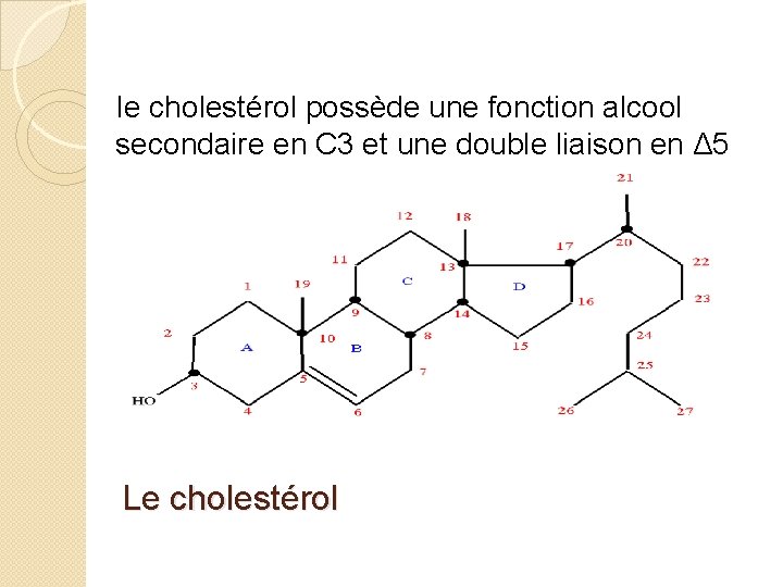 Ie cholestérol possède une fonction alcool secondaire en C 3 et une double liaison