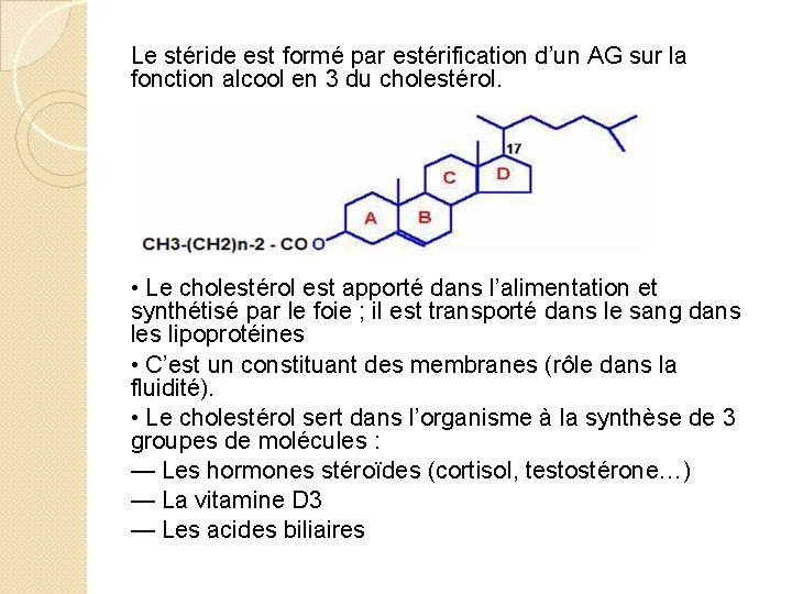 Le stéride est formé par estérification d’un AG sur la fonction alcool en 3