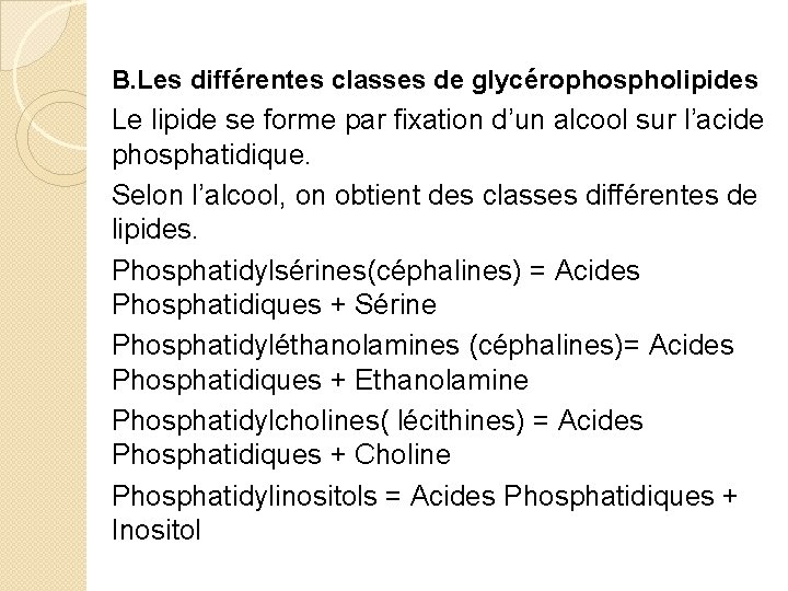 B. Les différentes classes de glycérophospholipides Le lipide se forme par fixation d’un alcool