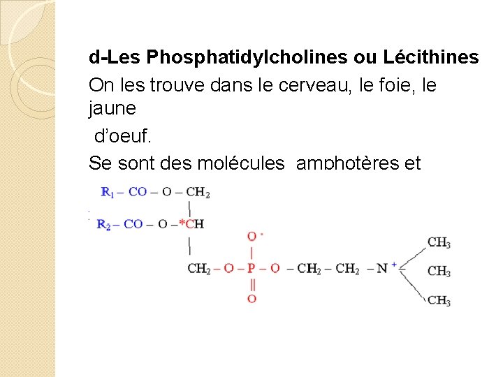 d-Les Phosphatidylcholines ou Lécithines On les trouve dans le cerveau, le foie, le jaune