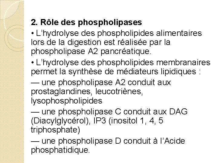 2. Rôle des phospholipases • L’hydrolyse des phospholipides alimentaires lors de la digestion est