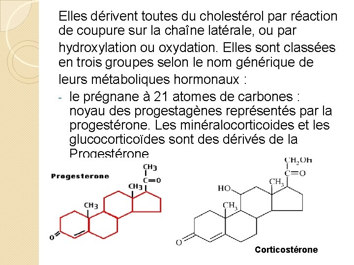 Elles dérivent toutes du cholestérol par réaction de coupure sur la chaîne latérale, ou