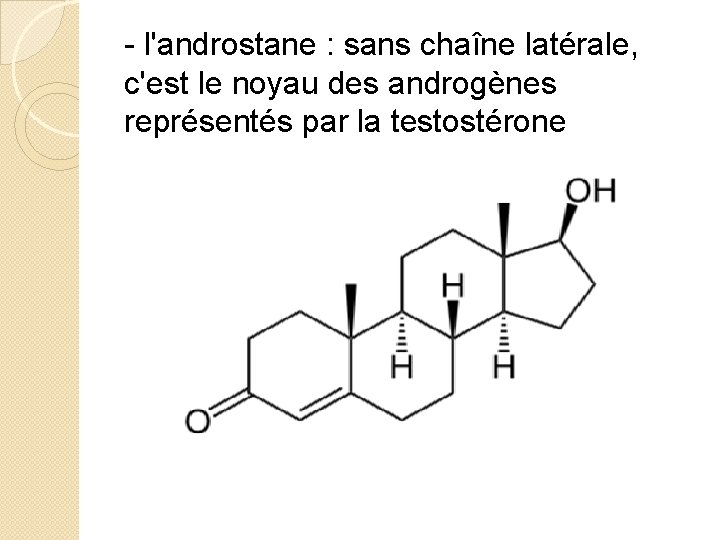 - l'androstane : sans chaîne latérale, c'est le noyau des androgènes représentés par la