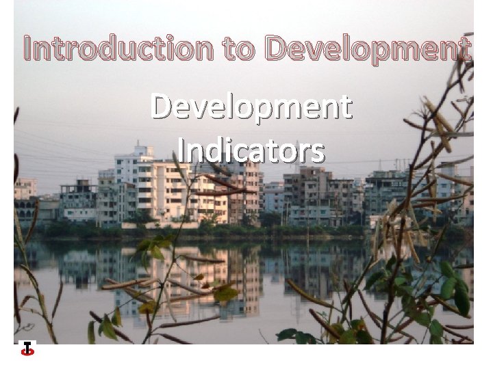 Introduction to Development Indicators 