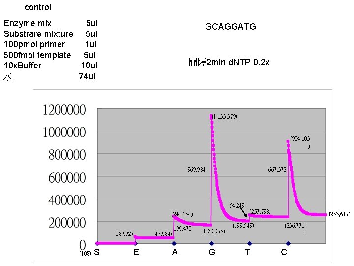 control Enzyme mix 5 ul Substrare mixture 5 ul 100 pmol primer 1 ul