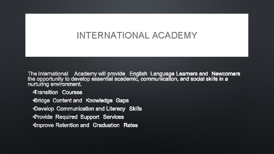 INTERNATIONAL ACADEMY THE INTERNATIONAL ACADEMY WILL PROVIDE ENGLISH LANGUAGE LEARNERS AND NEWCOMERS THE OPPORTUNITY