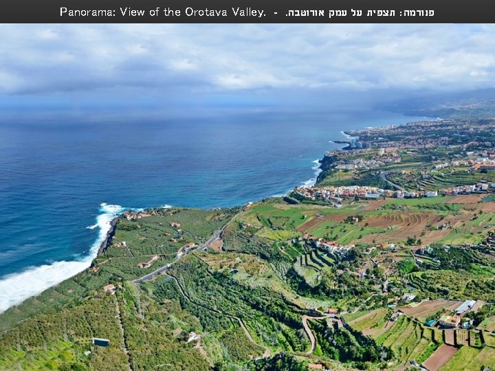 Panorama: View of the Orotava Valley. -. תצפית על עמק אורוטבה : פנורמה 