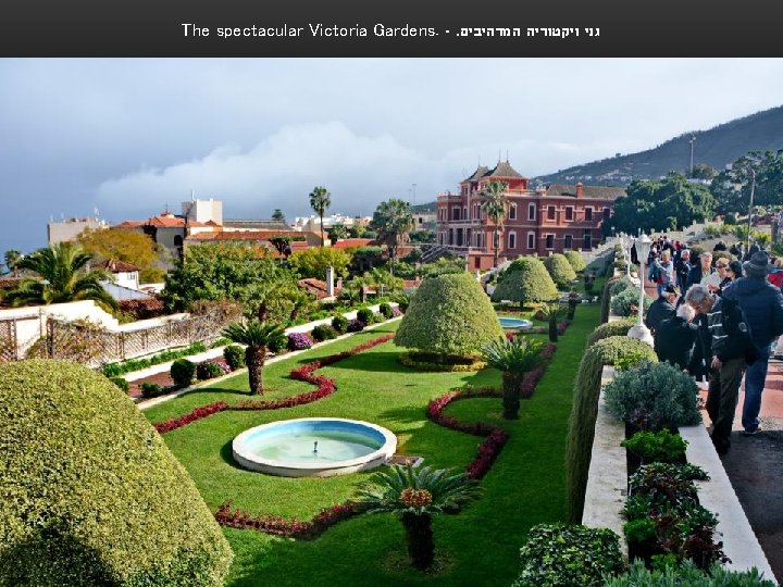 The spectacular Victoria Gardens. -. גני ויקטוריה המרהיבים 