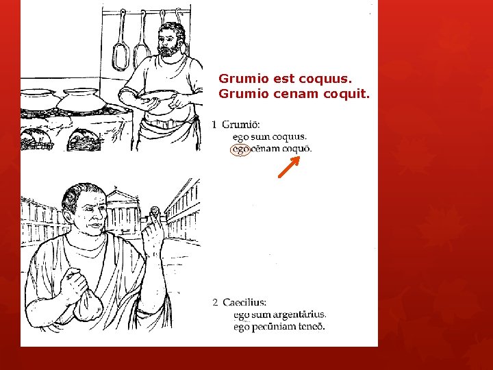 Grumio est coquus. Grumio cenam coquit. 