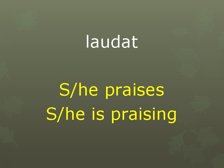 laudat S/he praises S/he is praising 