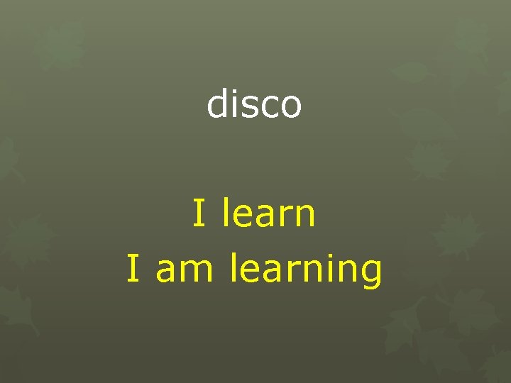 disco I learn I am learning 