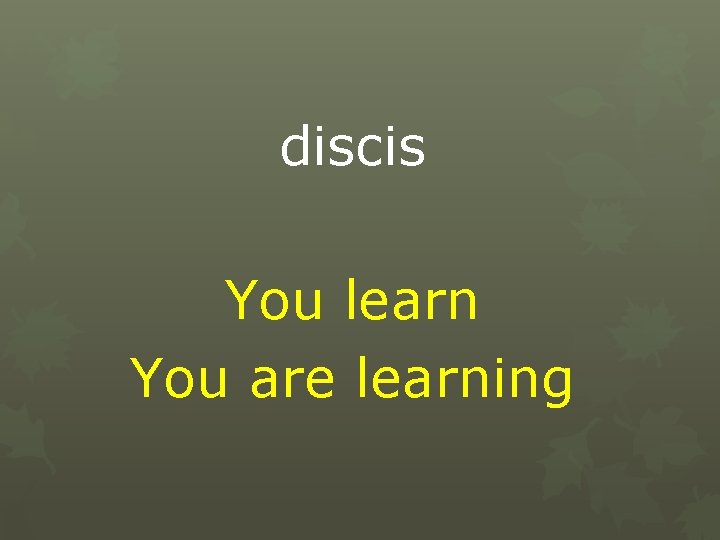 discis You learn You are learning 