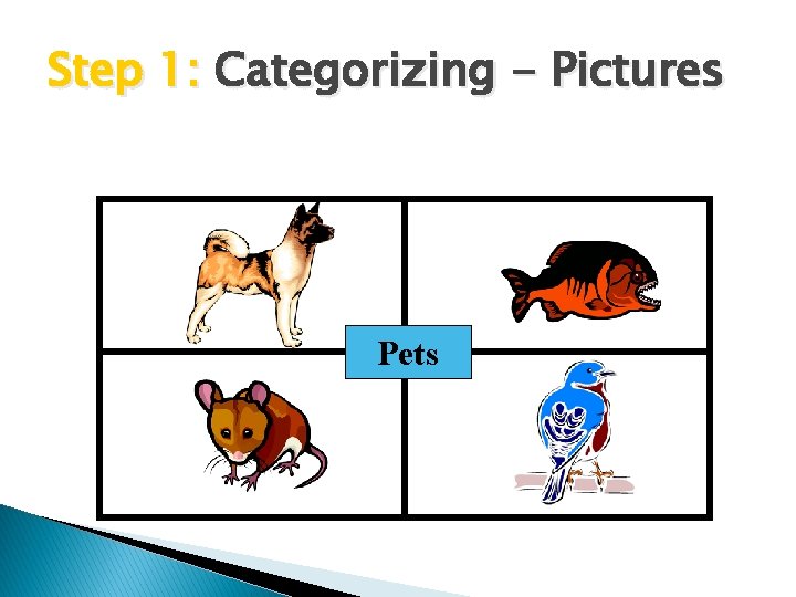 Step 1: Categorizing - Pictures Pets 