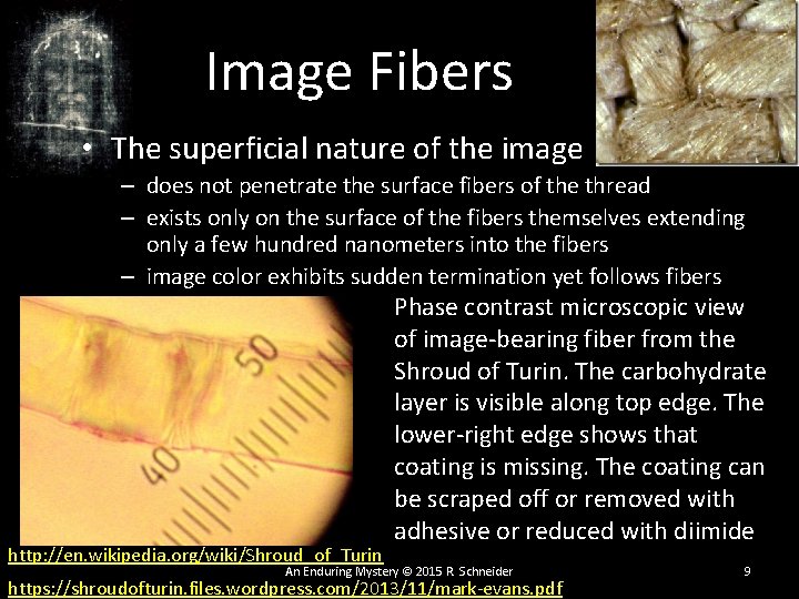 Image Fibers • The superficial nature of the image – does not penetrate the Image Fibers • The superficial nature of the image – does not penetrate the
