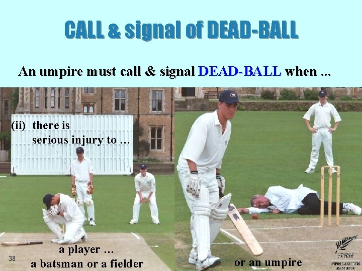 CALL & signal of DEAD-BALL An umpire must call & signal DEAD-BALL when. .