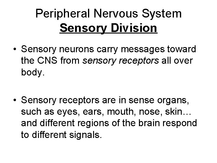 Peripheral Nervous System Sensory Division • Sensory neurons carry messages toward the CNS from