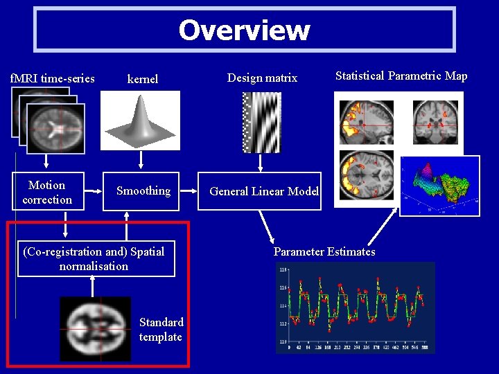 Overview f. MRI time-series Motion correction kernel Design matrix Smoothing General Linear Model (Co-registration
