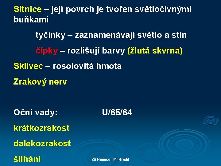 Sítnice – její povrch je tvořen světločivnými buňkami tyčinky – zaznamenávají světlo a stín