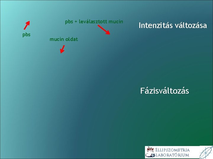 pbs + leválasztott mucin pbs Intenzitás változása mucin oldat Fázisváltozás Ellipszometria laboratórium pbs + leválasztott mucin pbs Intenzitás változása mucin oldat Fázisváltozás Ellipszometria laboratórium