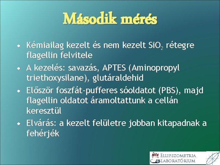 Második mérés Kémiailag kezelt és nem kezelt Si. O 2 rétegre flagellin felvitele A Második mérés Kémiailag kezelt és nem kezelt Si. O 2 rétegre flagellin felvitele A