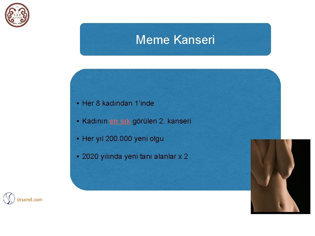 Meme Kanseri • Her 8 kadından 1’inde • Kadının en sık görülen 2. kanseri