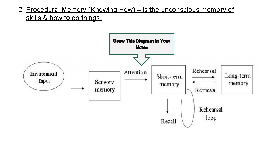 2. Procedural Memory (Knowing How) – is the unconscious memory of skills & 2. Procedural Memory (Knowing How) – is the unconscious memory of skills &