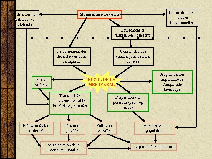 Utilisation de pesticides et défoliants Elimination des cultures traditionnelles Monoculture du coton Epuisement et