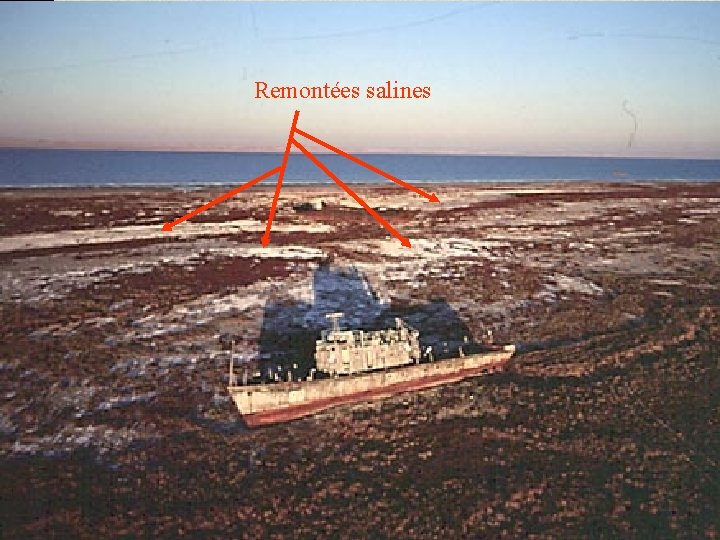 Remontées salines 