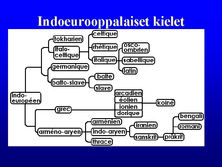 Indoeurooppalaiset kielet 