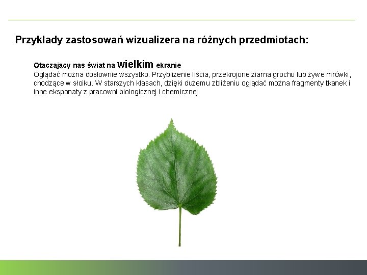 Przykłady zastosowań wizualizera na różnych przedmiotach: Otaczający nas świat na wielkim ekranie Oglądać można