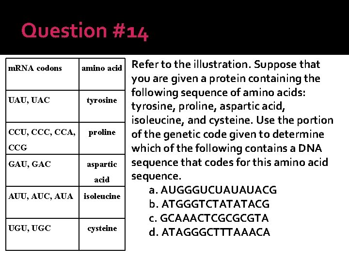 Question #14 m. RNA codons amino acid UAU, UAC tyrosine CCU, CCC, CCA, proline